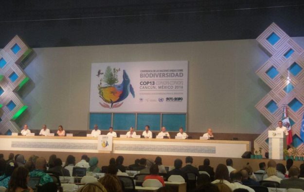 biodiversidad