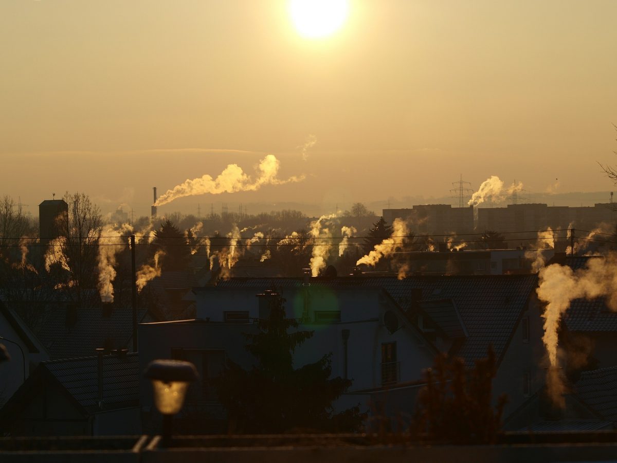 humo cont