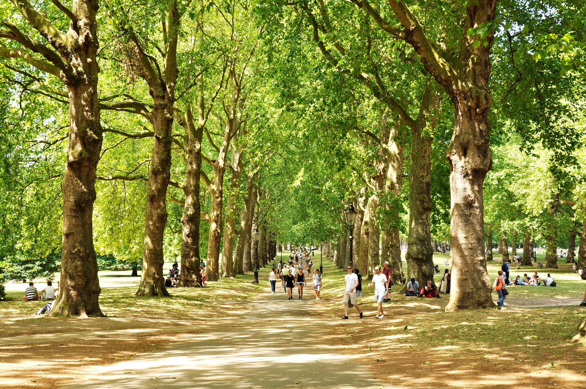 green-park-2932220_1920