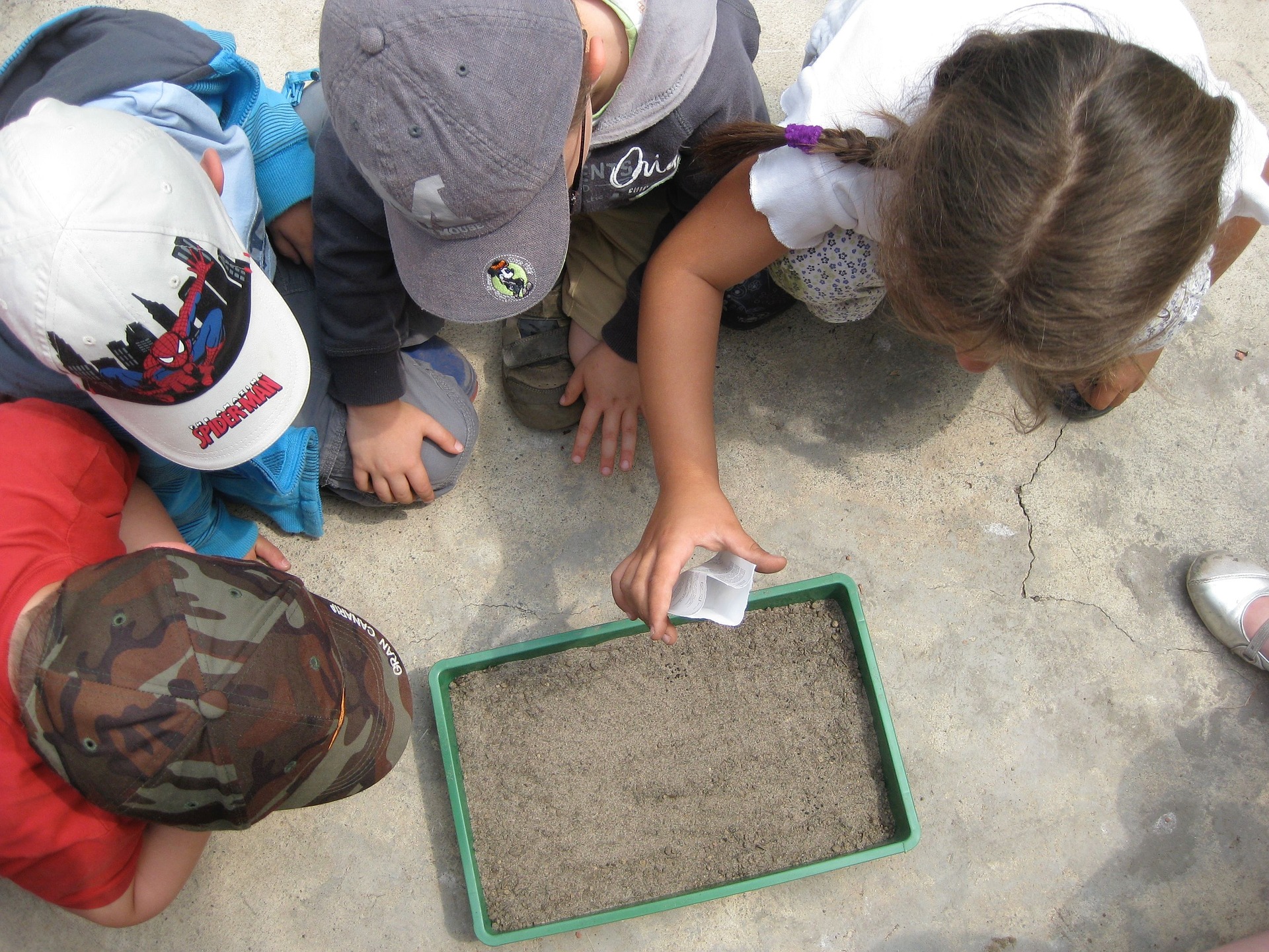 environmental-education-1578203_1920