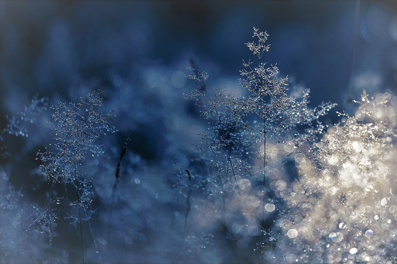 winter-1898134_1280