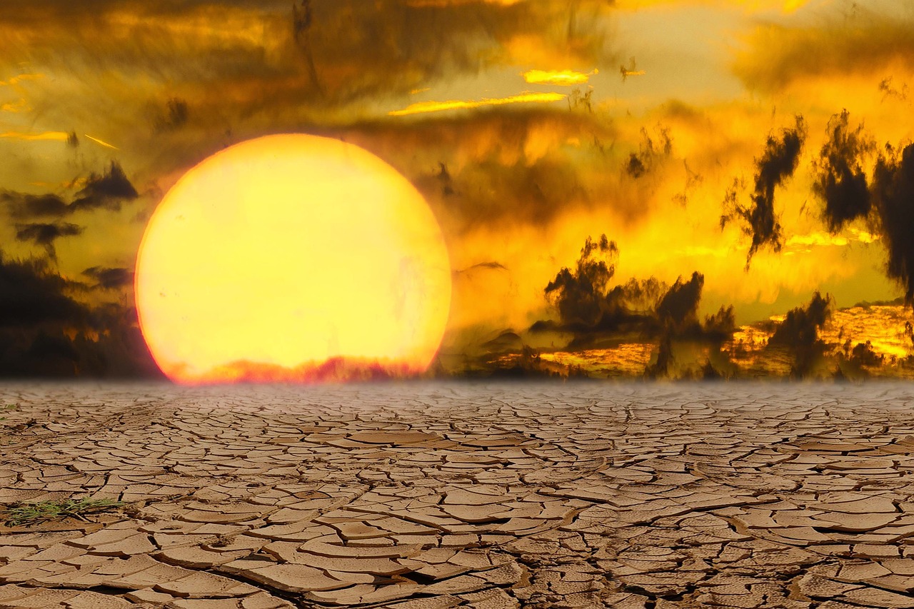 oladecalor