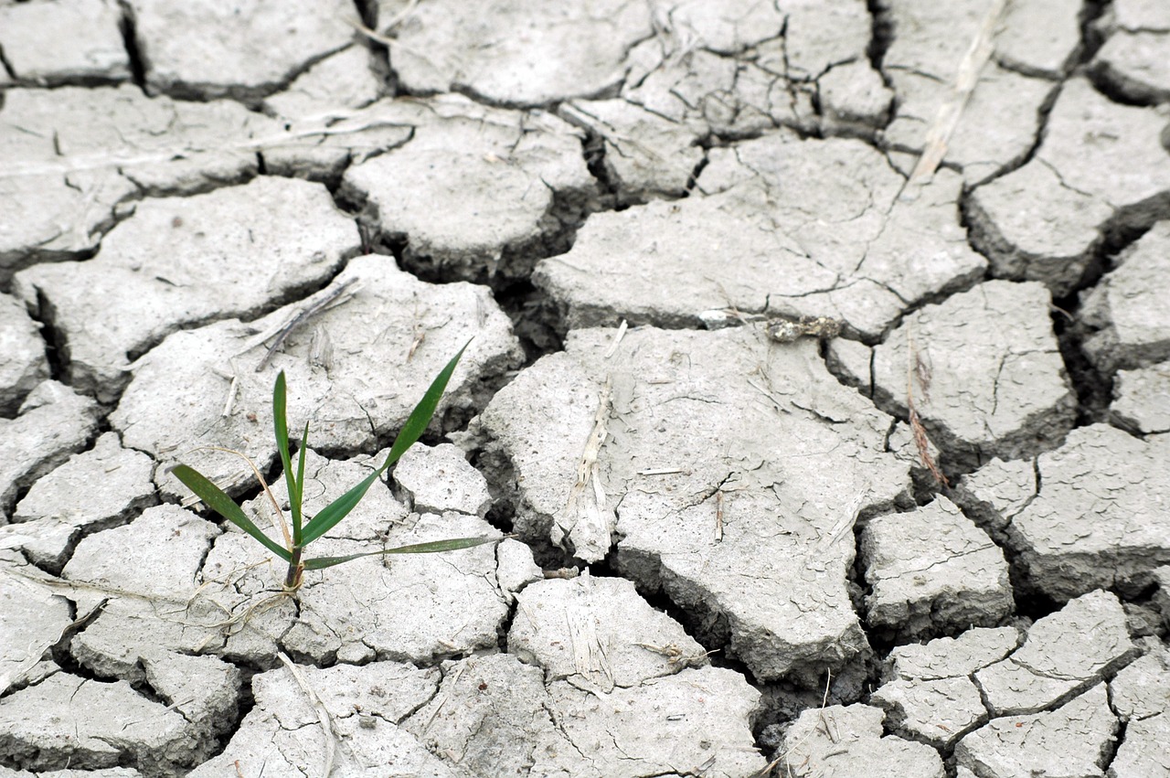 cambioclimatico-tierra