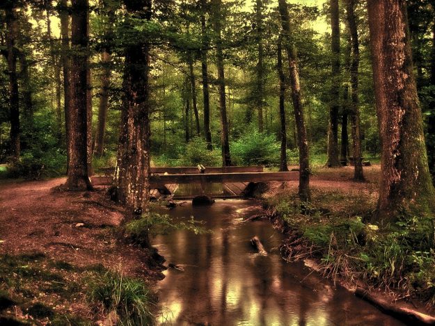 naturaleza