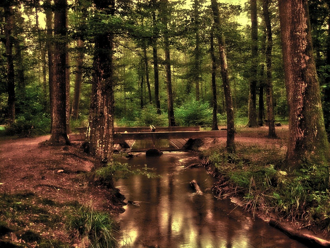 naturaleza