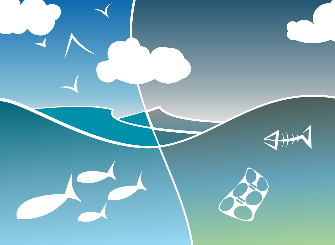 contaminación