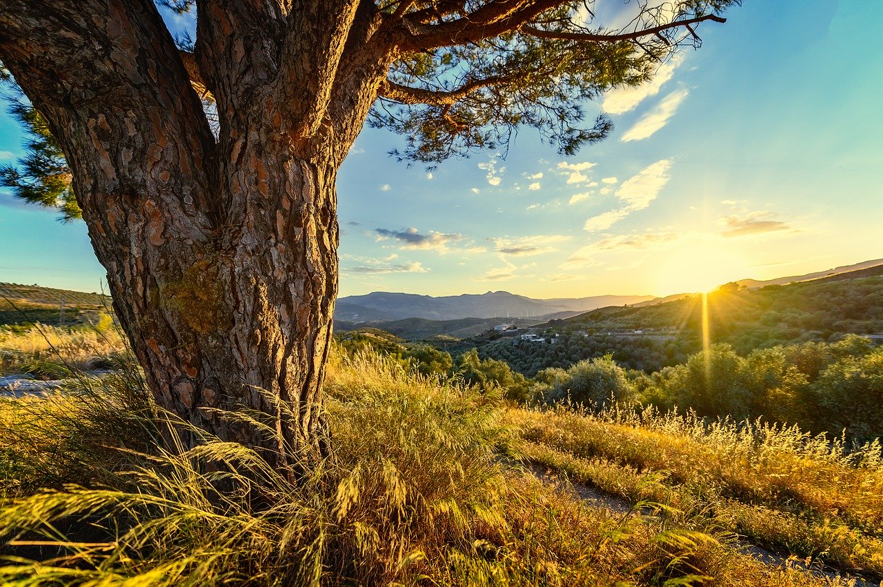 entorno-andalucia