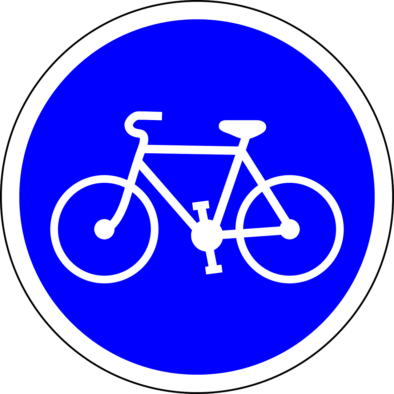 carrilbici