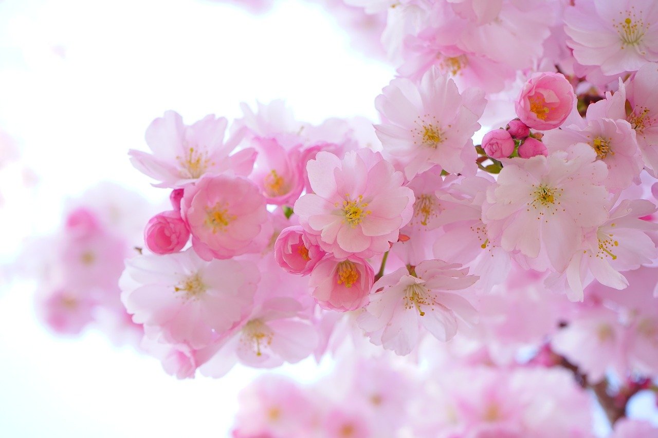 soluciones-naturaleza