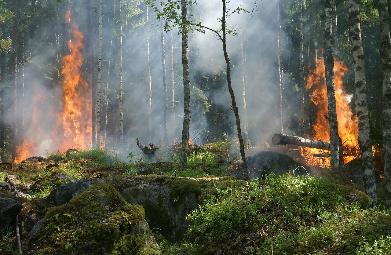 Incendios y salud pública