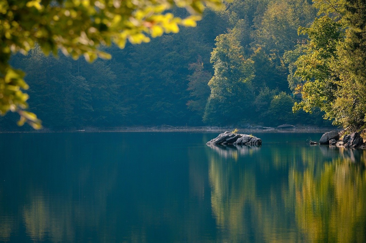 naturaleza