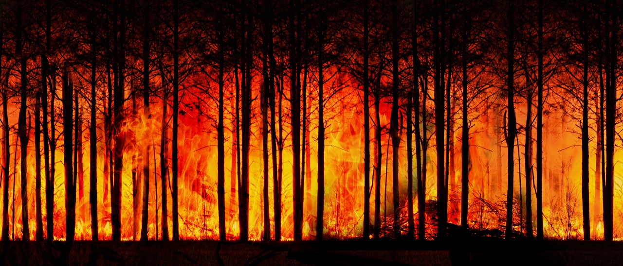 cambioclimatico3