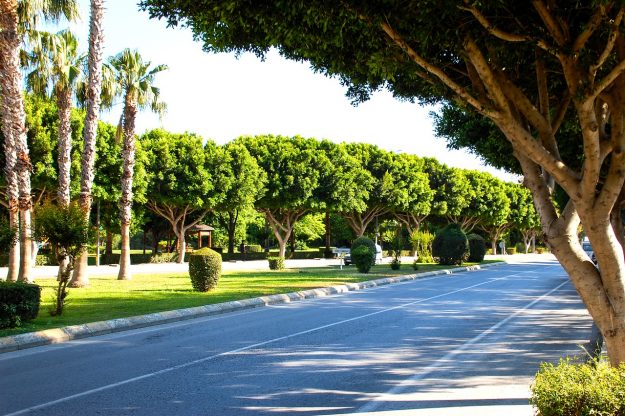 ciudadesverdes