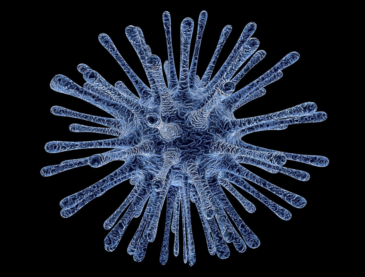 Los arbovirus podrían desencadenar la próxima pandemia: la OMS propone un nuevo plan para su prevención y control
