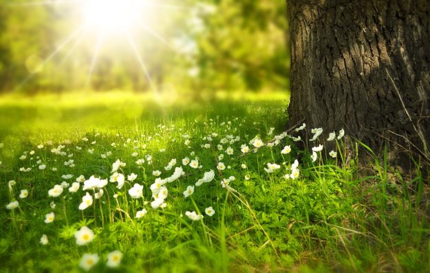 naturaleza