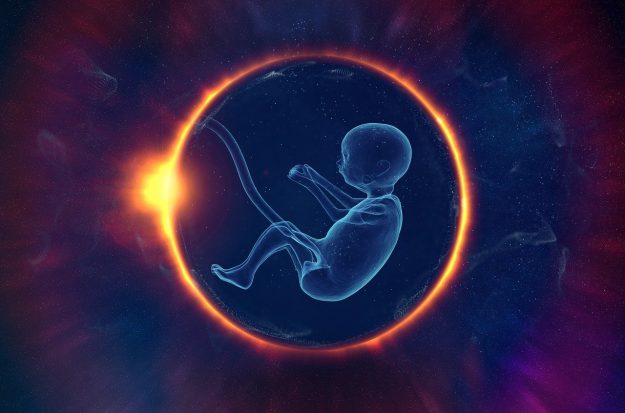 cordonumbilical