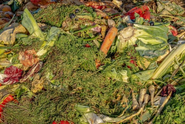 FOOD WASTE
