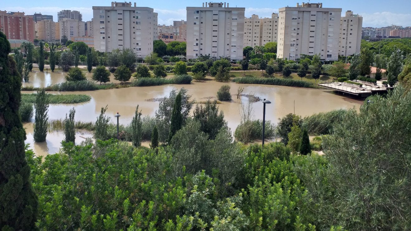 Regionalización a escala local de los efectos del cambio climático en el patrón de precipitaciones: aplicación a la ciudad de Alicante (España)