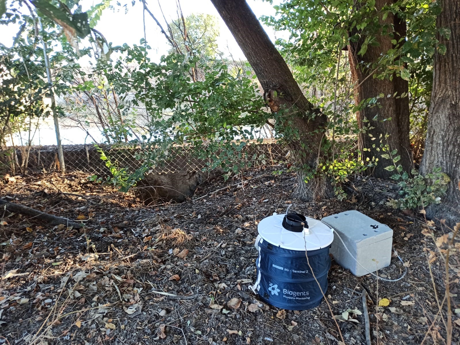 Datos adjuntos sin título 00013 (002)